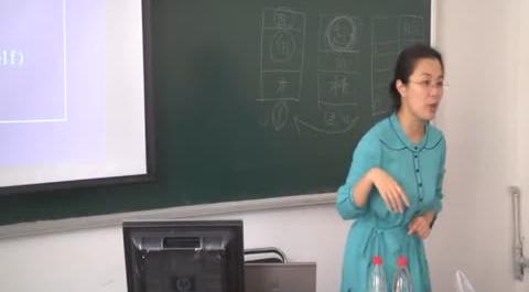 人力資源管理5講