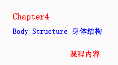 暑期班7.17日 护理词汇速记 Chapter4 Body Structure 身体结构