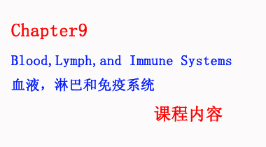 暑期班7.23日 护理词汇速记Chapter9 Blood,Lymph,and Immune