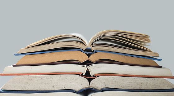 2016公共管理理論