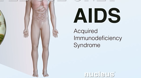 70章&nbsp;免疫系統(tǒng)疾病+71章&nbsp;免疫系統(tǒng)用藥