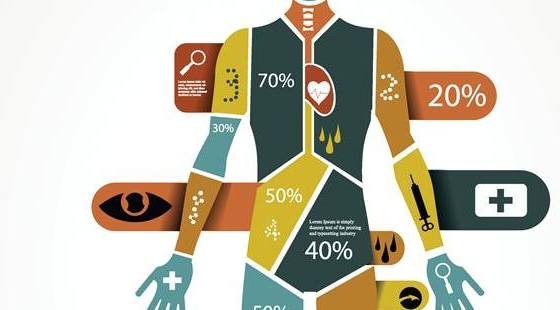 2017-2018年度醫(yī)學(xué)詞匯課&nbsp;第二章&nbsp;身體結(jié)構(gòu)、顏色和腫瘤學(xué)