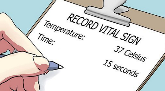 添翼2017-2018年ISPN/RN專業(yè)課&nbsp;10章（上）&nbsp;生命體征部分