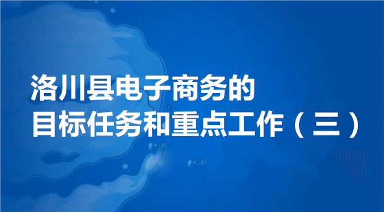 洛川县电子商务的目标任务和重点工作（三）