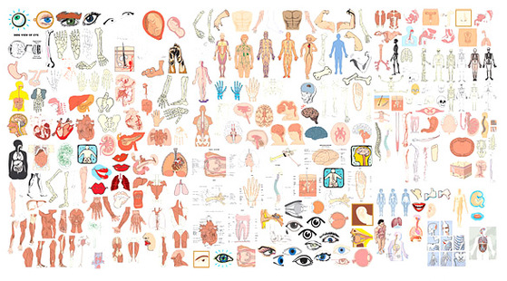 2018年寒假班&nbsp;英語醫(yī)學(xué)術(shù)語課&nbsp;第二章&nbsp;身體結(jié)構(gòu)、顏色和腫瘤學(xué)