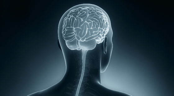 2017-2018年度醫(yī)學(xué)詞匯課&nbsp;第十五章&nbsp;神經(jīng)系統(tǒng)和行為健康