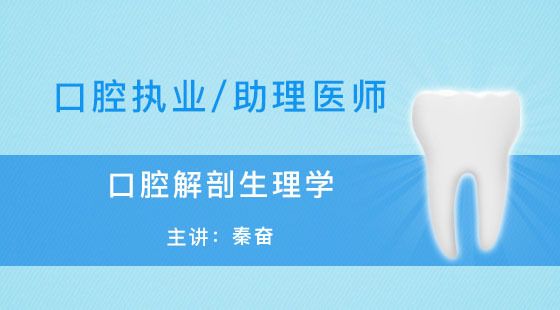 口腔執(zhí)業(yè)-助理醫(yī)師-秦奮-口腔解剖生理學