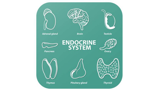 2018年暑期班&nbsp;第十六章&nbsp;Endocrine&nbsp;System