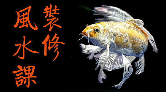 裝修風(fēng)水課（D392）