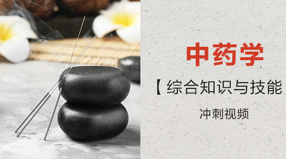 2019年 中药学综合知识与技能 冲刺