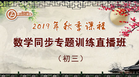 【2019年秋季】初三数学同步专题训练直播班
