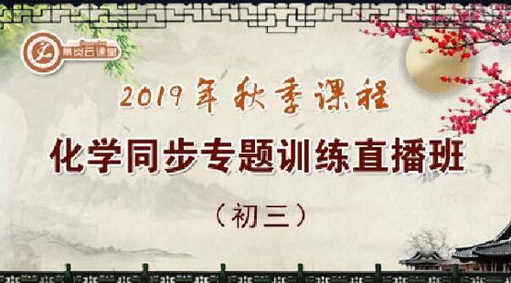 【2019年秋季】初三化學(xué)同步專題訓(xùn)練直播班
