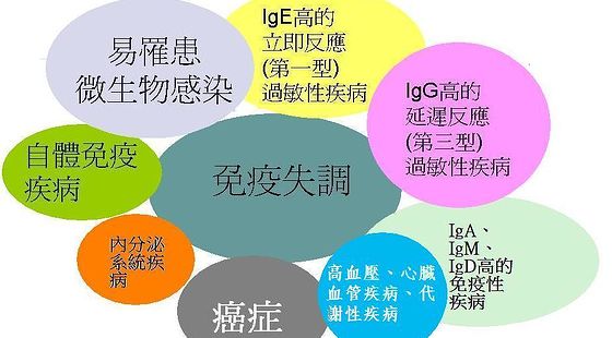 添翼2018-2019&nbsp;ISPN/RN&nbsp;專業(yè)課&nbsp;第66章&nbsp;成人免疫系統(tǒng)疾病