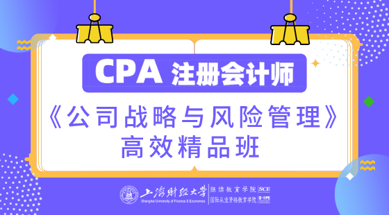 上海財(cái)經(jīng)大學(xué)&nbsp;CPA《公司戰(zhàn)略與風(fēng)險(xiǎn)管理》高效精品班