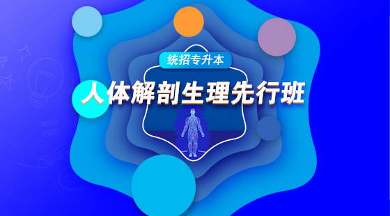 2021年人體解剖生理學(xué)先行班試聽（包含英語）