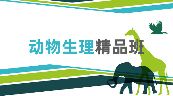 2020年動物生理精品班