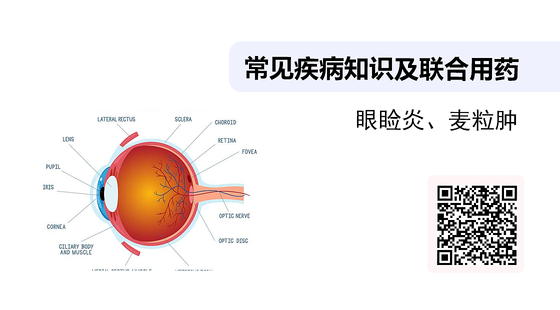 常見疾病知識及聯(lián)合用藥之-眼瞼炎、麥粒腫