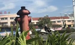 建构物消防员|建构筑物消防员|建筑物消防员|北